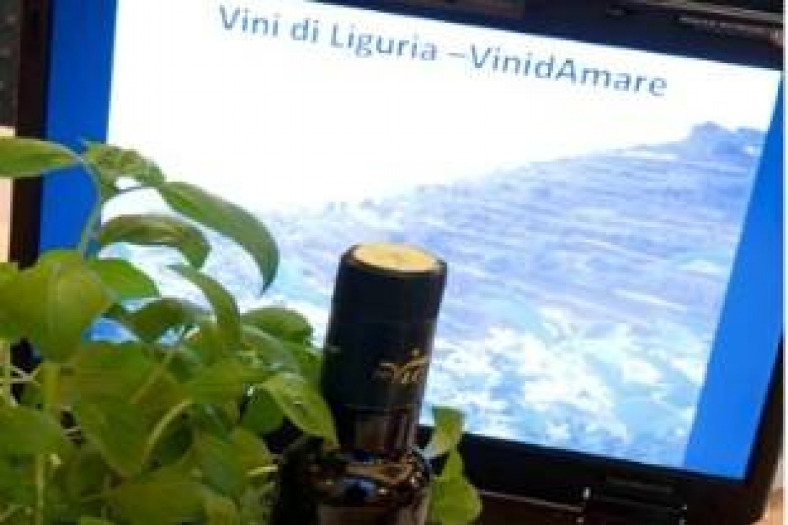 Vini di Liguria - VinidAmare