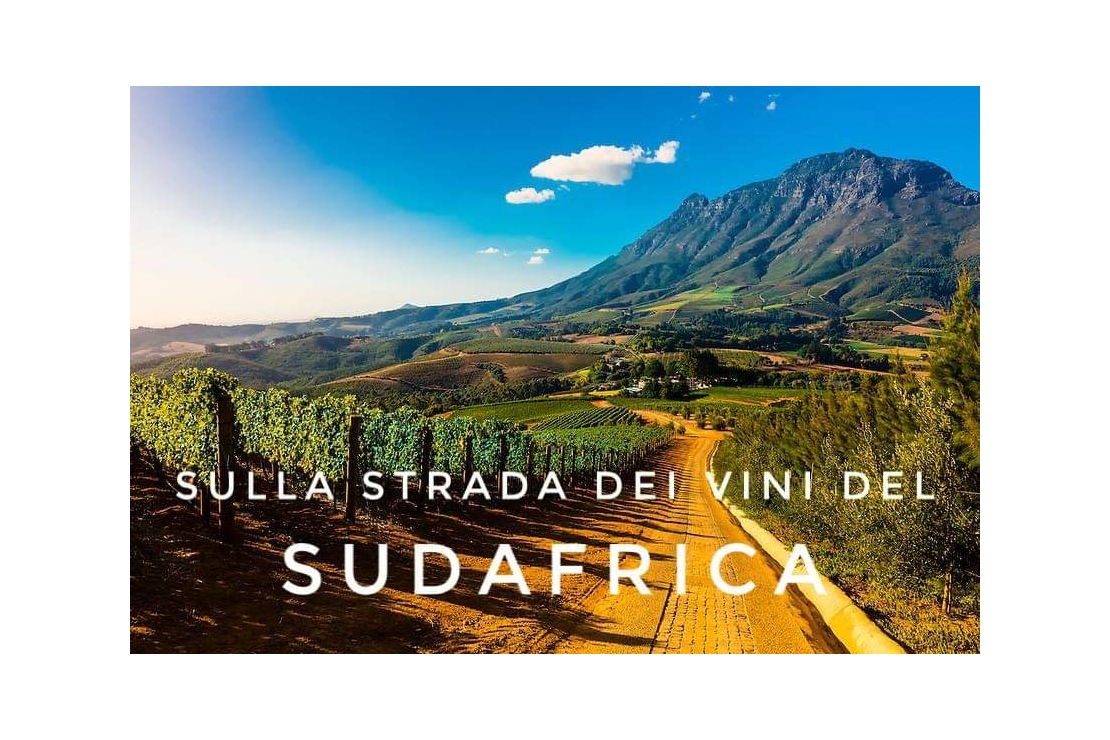 Sulla strada dei vini del Sudafrica