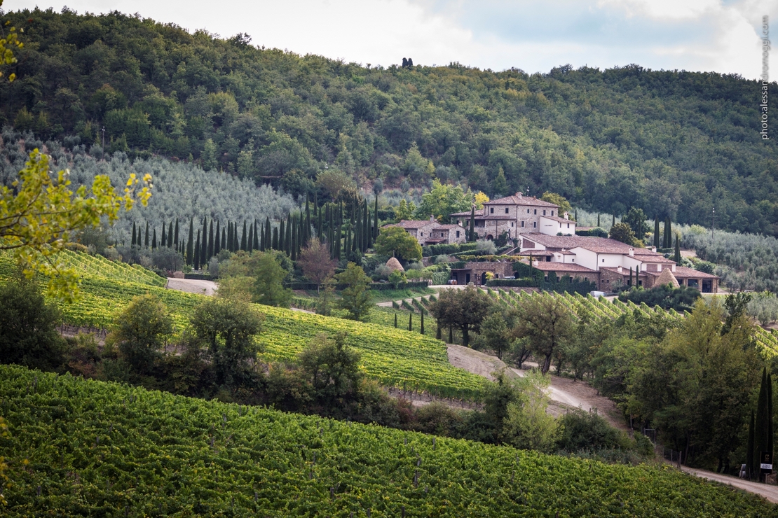 Colle Bereto. Coltivare la bellezza