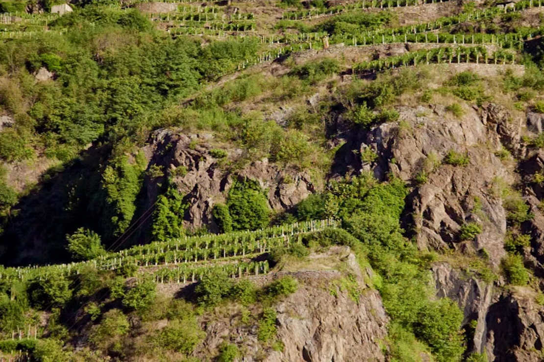 Valtellina Superiore DOCG & Sforzato di Valtellina DOCG