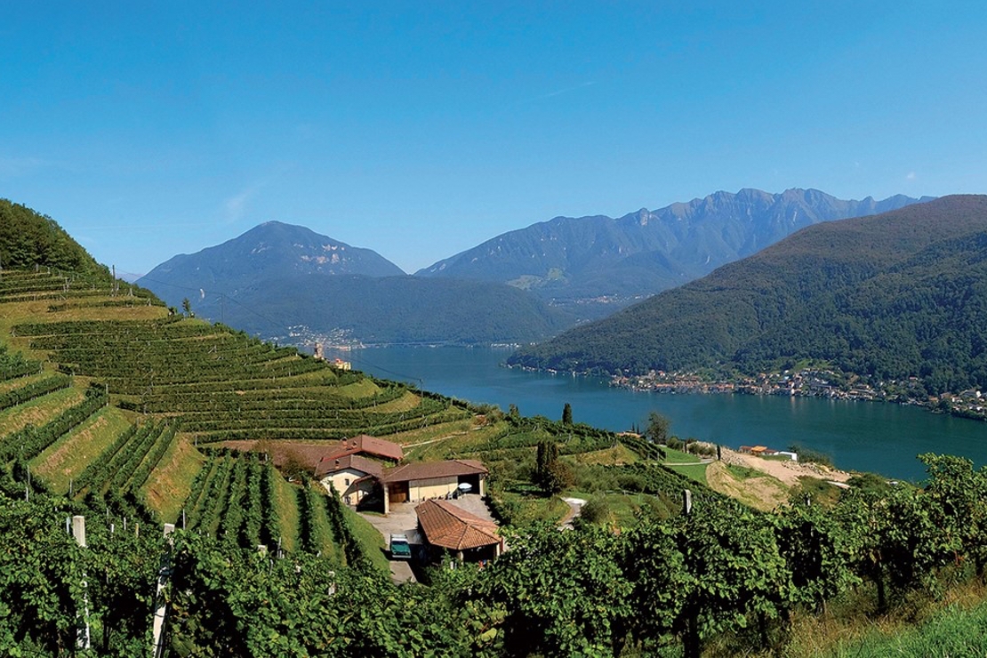 Ticino. La seconda patria del merlot