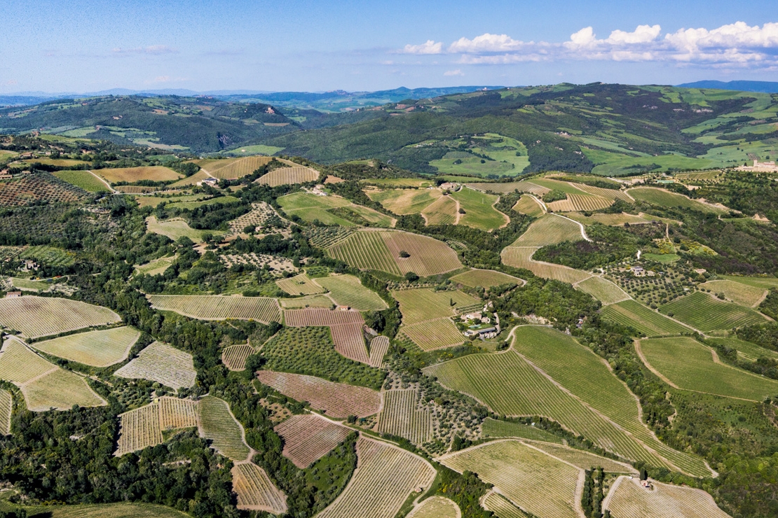 Sua Maestà il Brunello di Montalcino