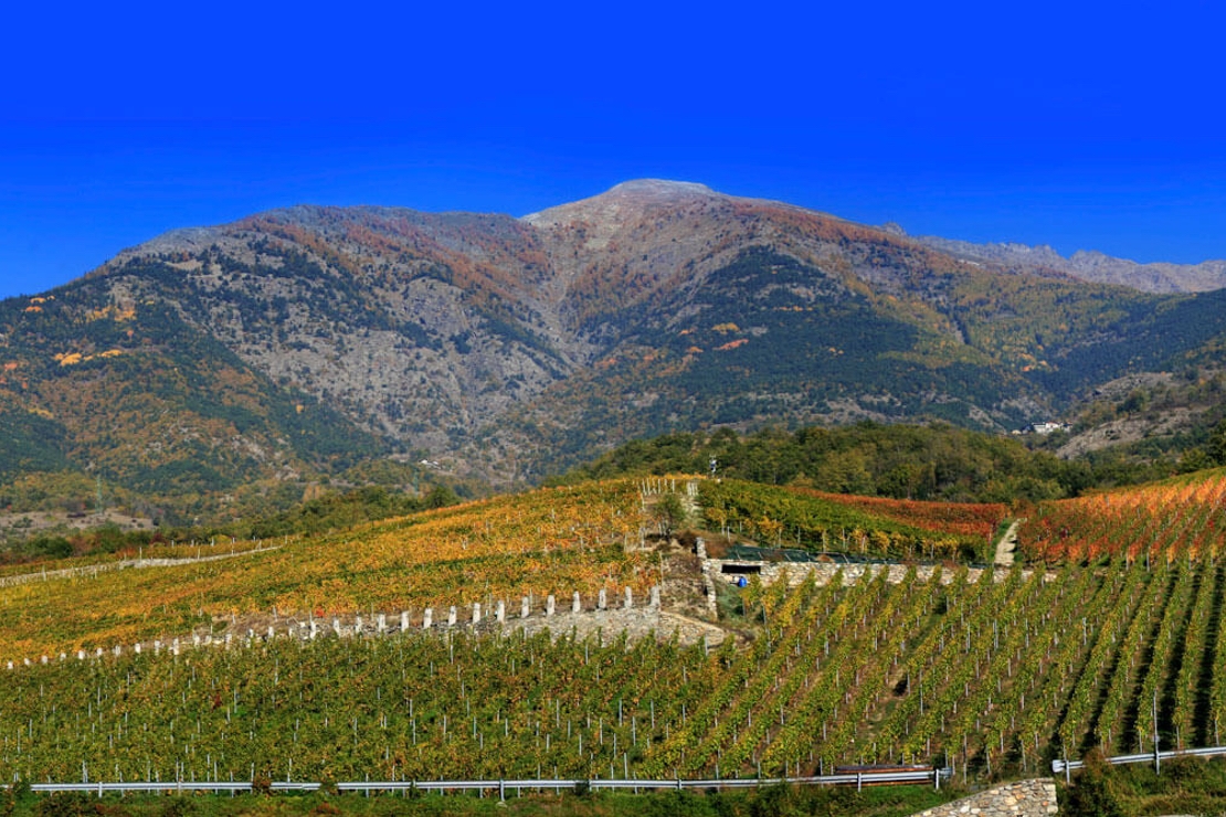 Uscita didattica in Valle d'Aosta