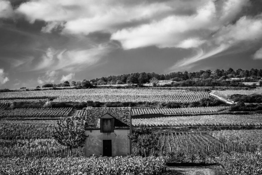 Magiche espressioni del bianco di Borgogna