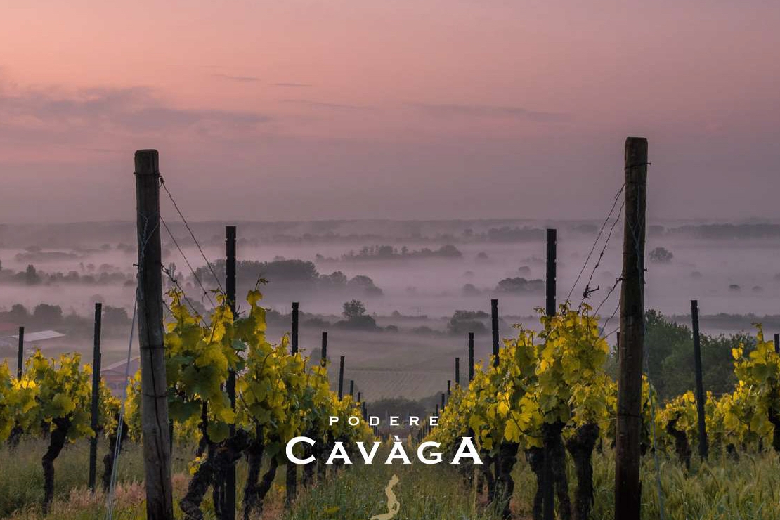 Storie di Vigna - Podere Cavaga