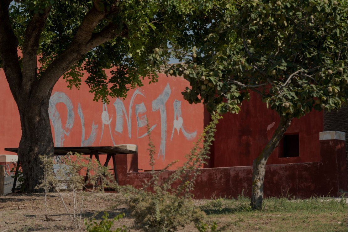 Alla scoperta della Cantina Planeta