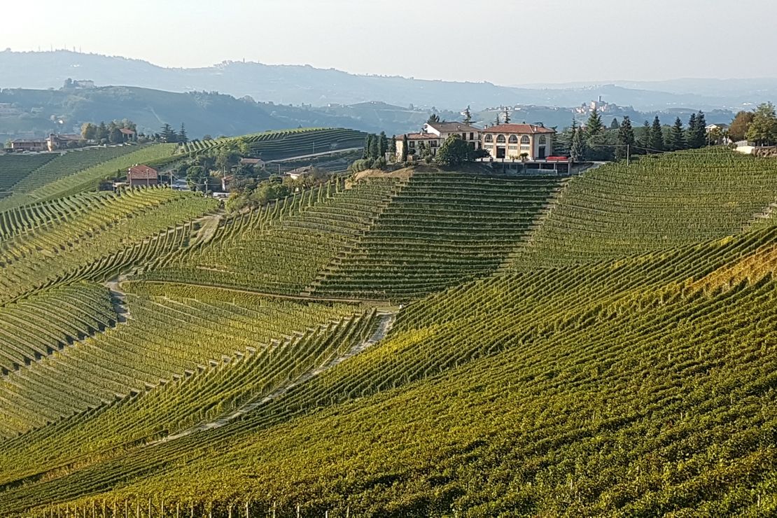 Masterclass  Barolo - Prima Serata