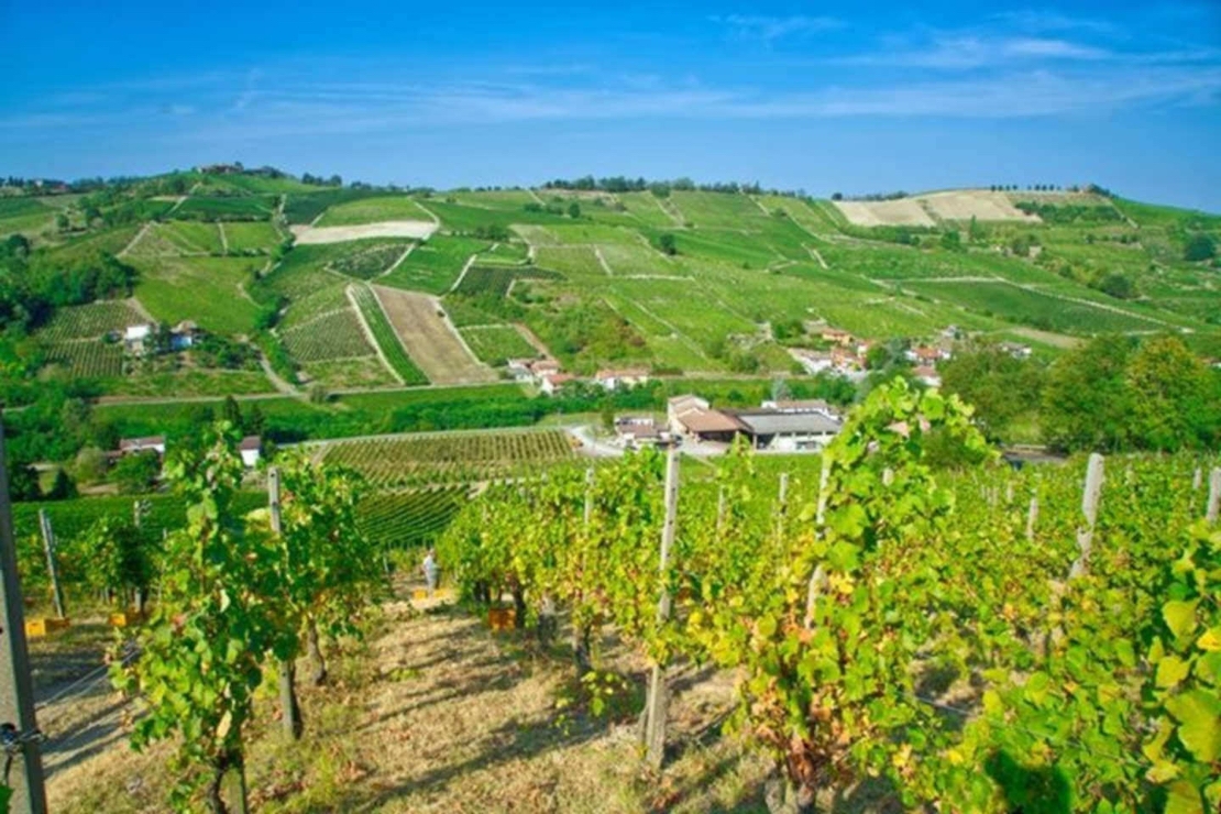 Cosa resterà degli anni ’10. Verticale Riesling Monsupello