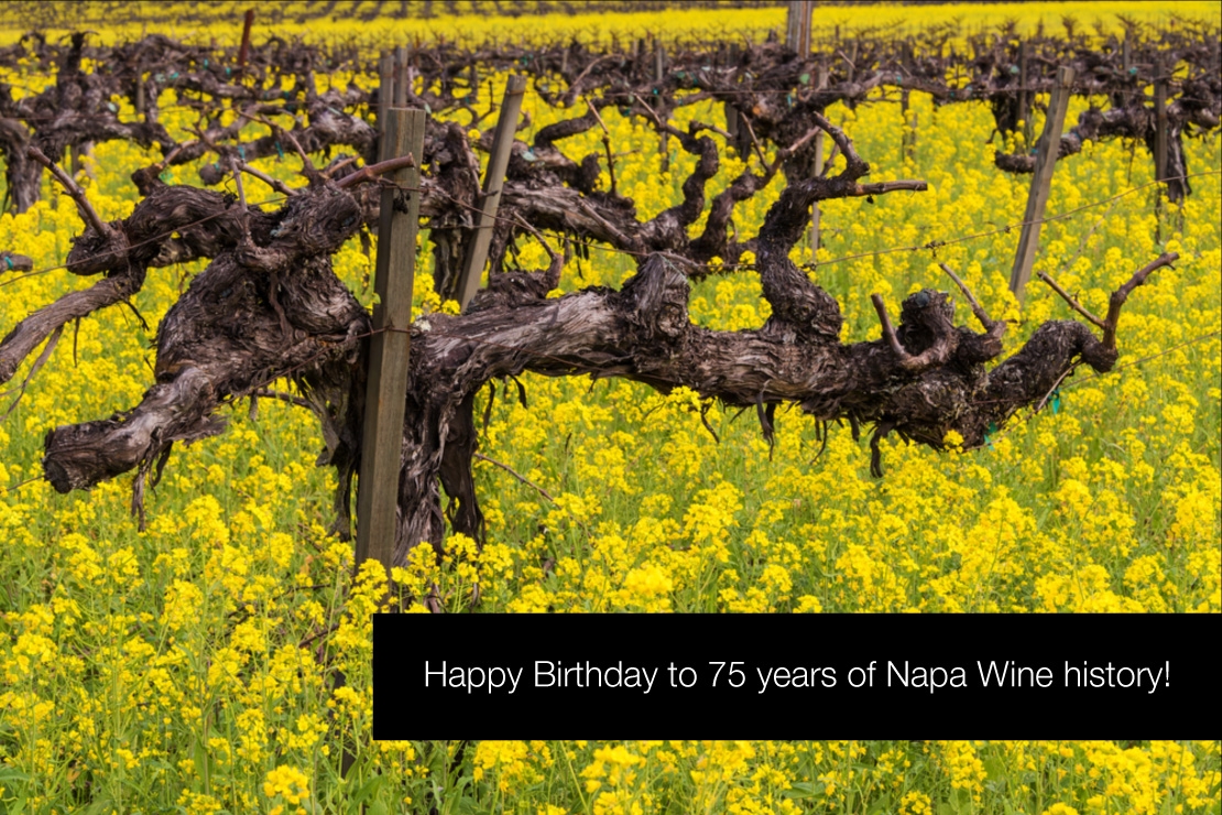 Enozioni a Milano 2020 - Happy Birthday to 75 years of Napa Wine history!