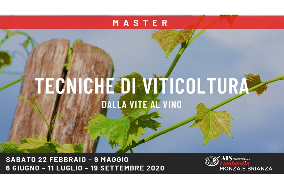 Master Tecniche di Viticoltura. Dalla vite al vino