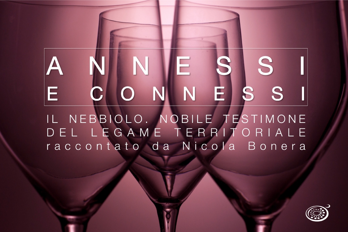 Annessi e Connessi |  Il nebbiolo. Nobile testimone del legame territoriale