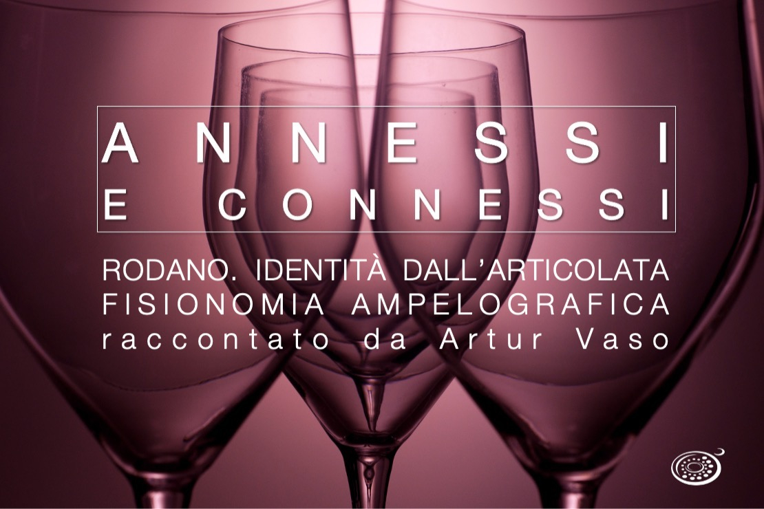 Annessi e Connessi |  Rodano. Identità dall’articolata fisionomia ampelografica