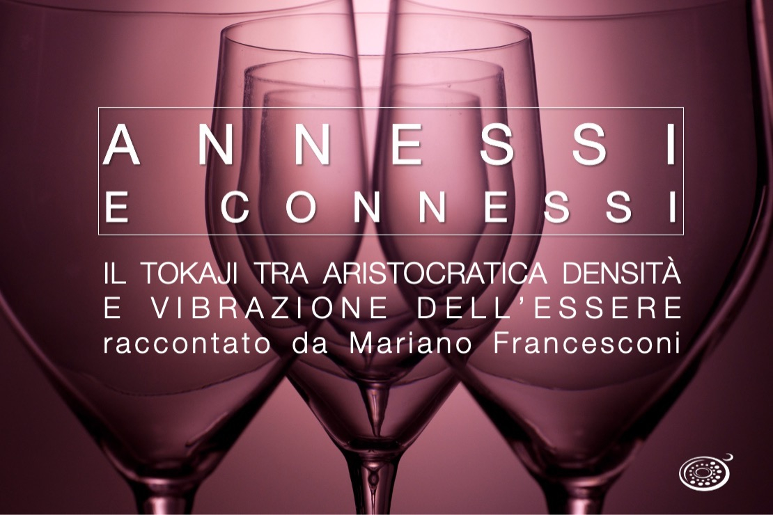 Annessi e Connessi. Il Tokaji tra aristocratica densità e vibrazione dell’essere