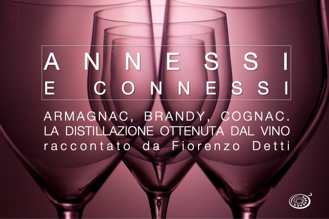 Annessi e Connessi | Armagnac, Brandy, Cognac. La distillazione ottenuta dal vino