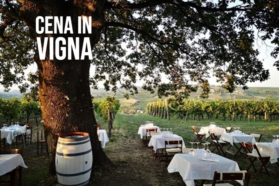 Cena in vigna Azienda Agricola Calatroni
