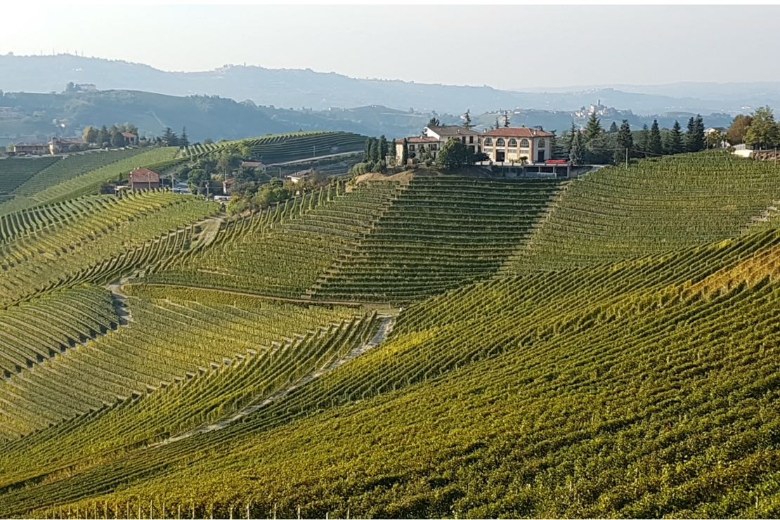 Barolo. Il Re dei vini, il vino dei Re