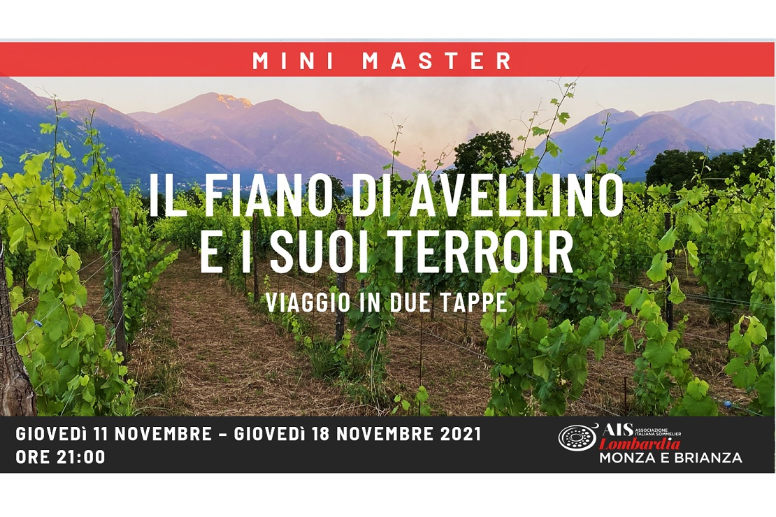 Il Fiano di Avellino e i suoi Terroir. Viaggio in due tappe