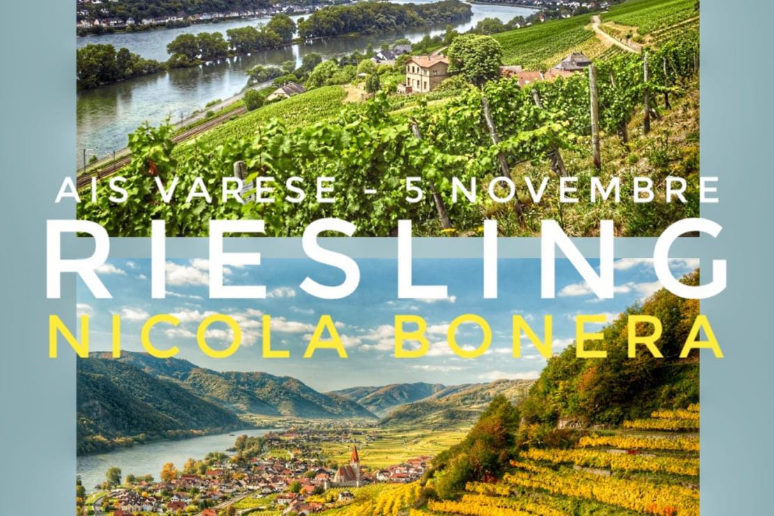 Riesling secchi di Austria e Germania