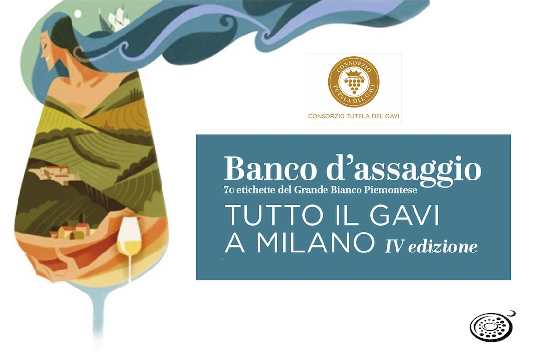 Tutto il Gavi a Milano - Banco di Assaggio