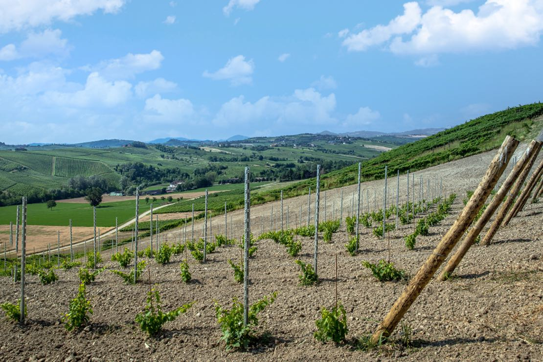 Azienda Il Molino di Rovescala Oltrepò Pavese