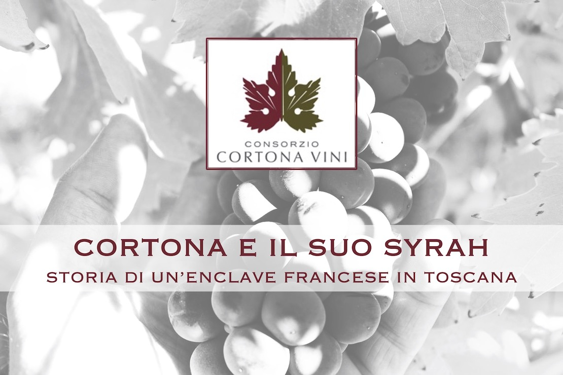 Cortona e il suo Syrah. Storia di un’enclave francese in Toscana
