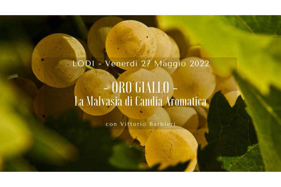 Oro giallo. La Malvasia di Candia Aromatica