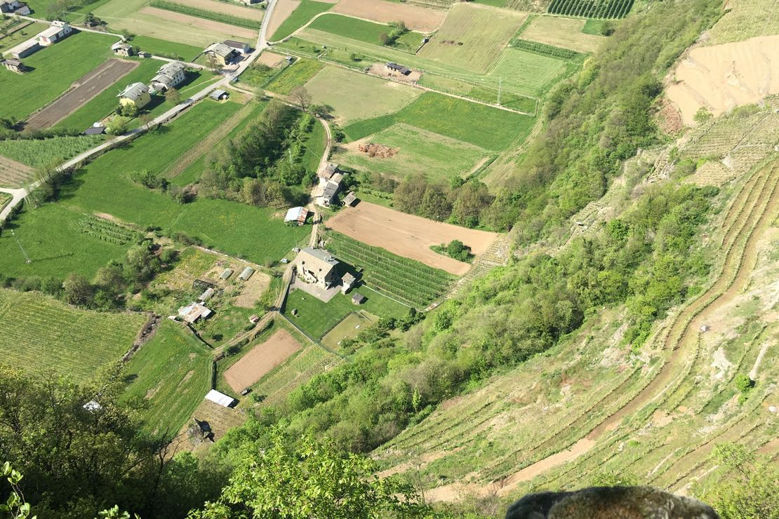 Valtellina Superiore Docg a Magenta. Un racconto “oltre” le sottozone