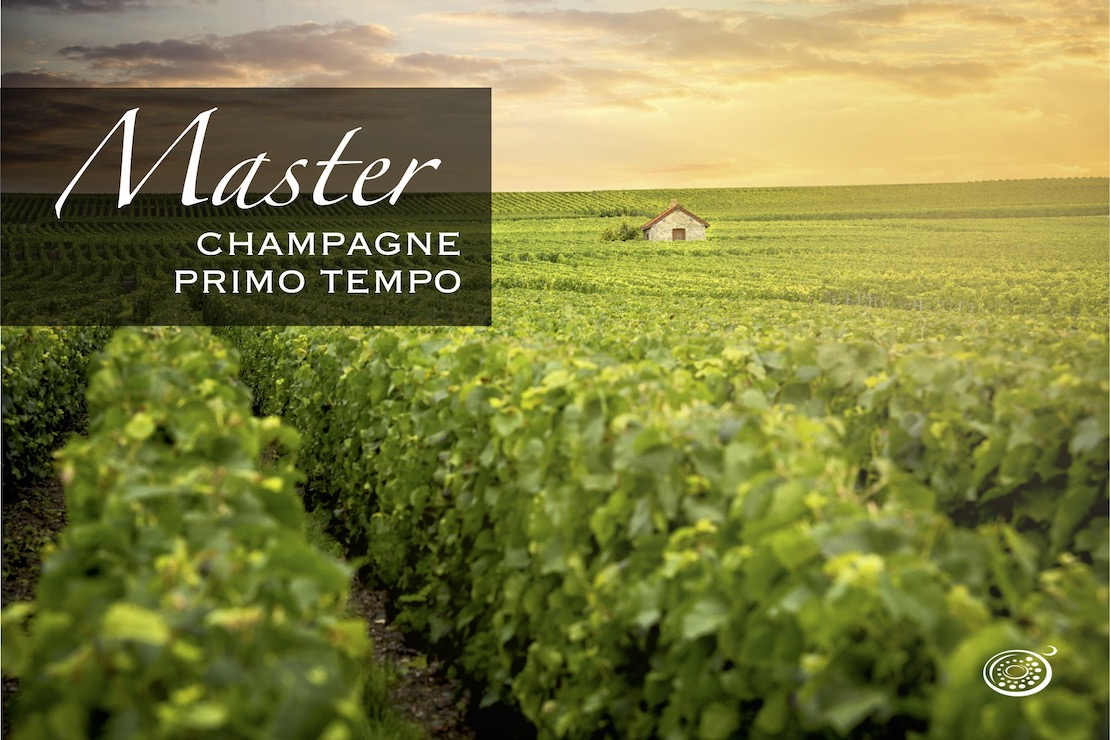 Champagne. Il master - Primo tempo