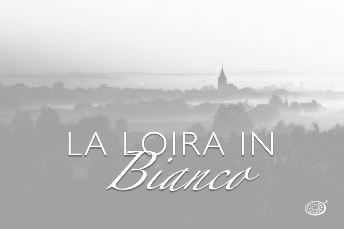 La Loira in bianco