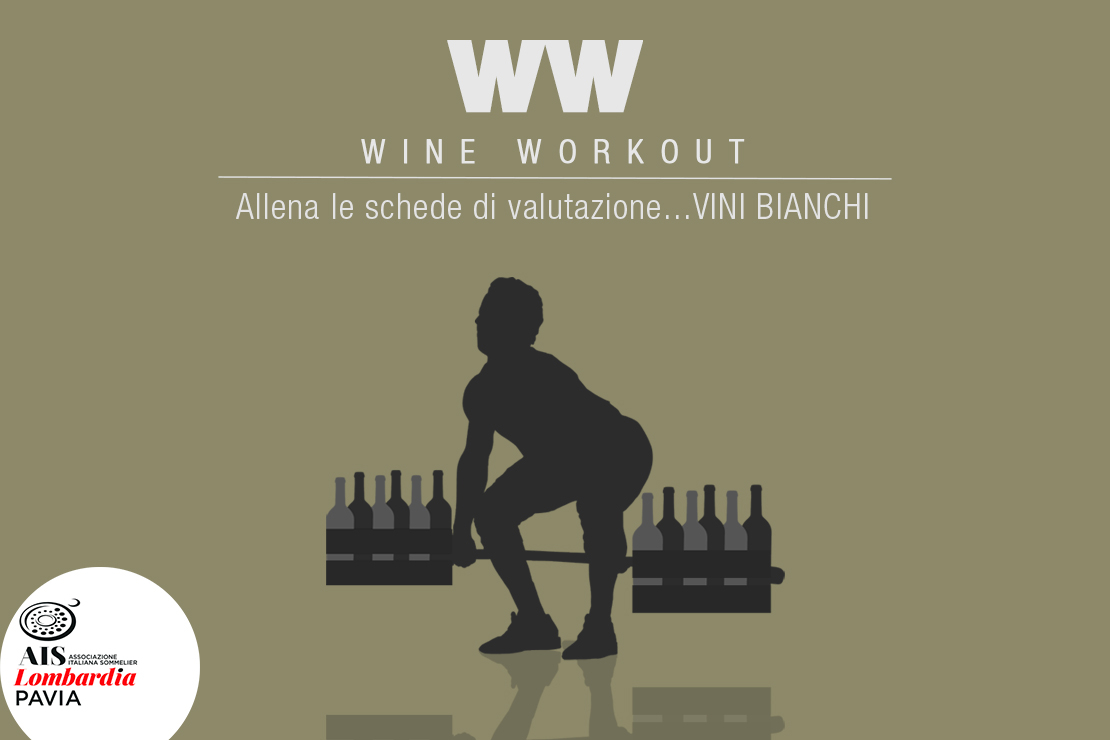 Wine Workout |  Vini Bianchi
