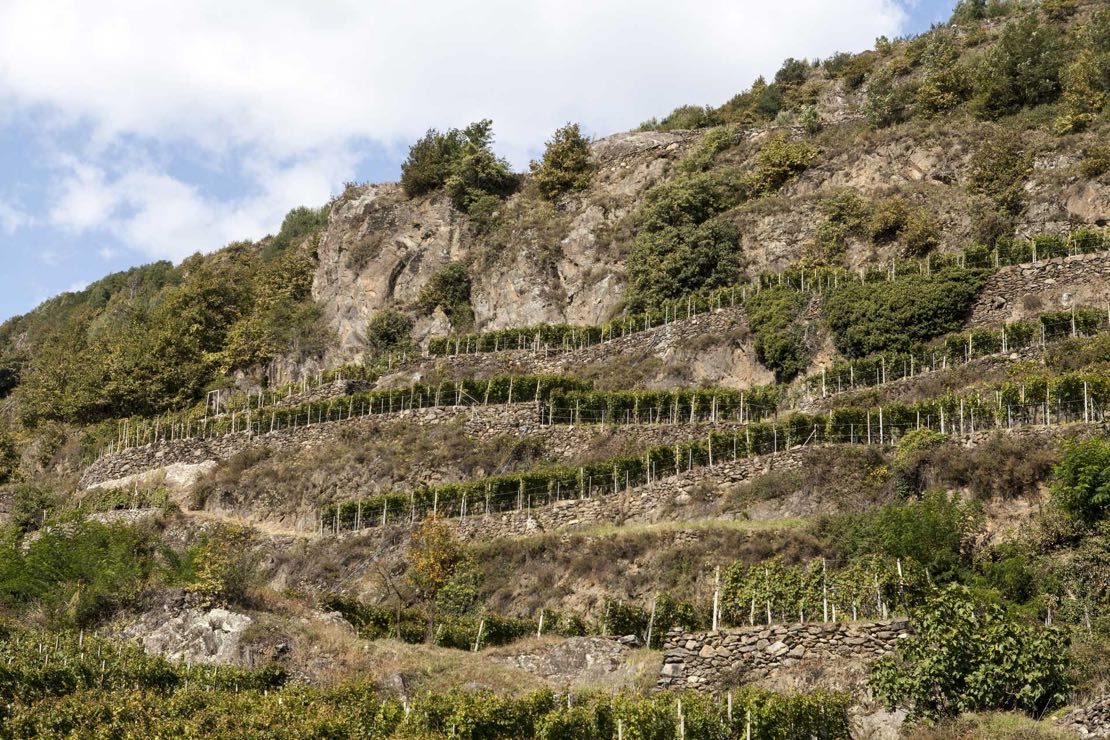 Valtellina Superiore Docg e Sforzato di Valtellina Docg