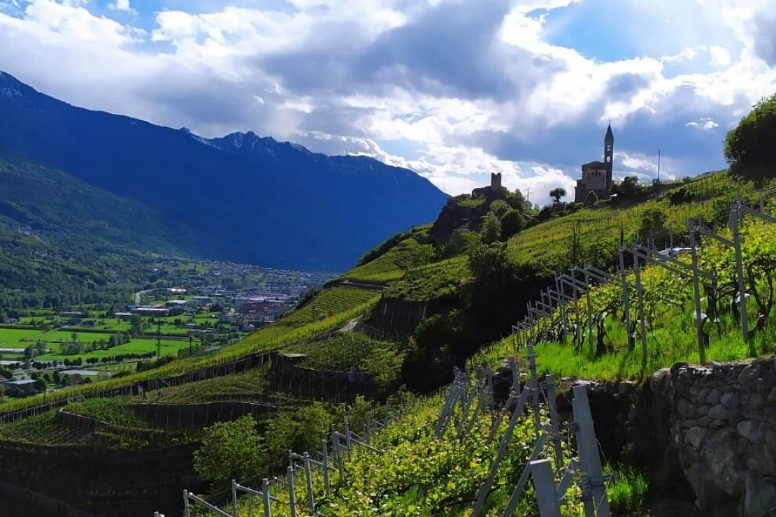 Storie di Vigna. Valtellina Superiore DOCG Grumello Riserva Aldo Rainoldi