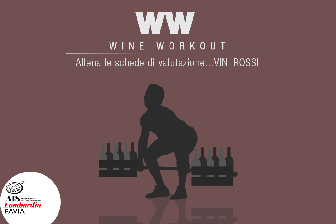 Wine Workout |  Vini Rossi 16/2