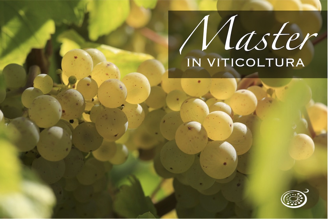 Master in Viticoltura - 19a edizione