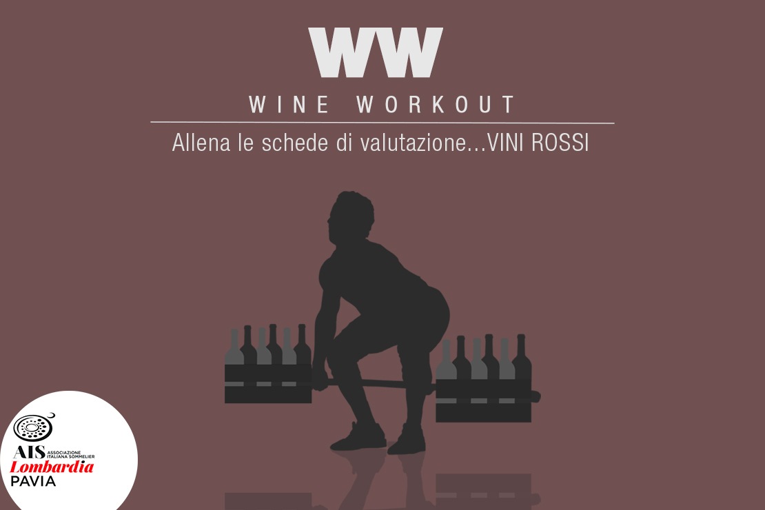 Wine Workout |  Vini Rossi 12/5