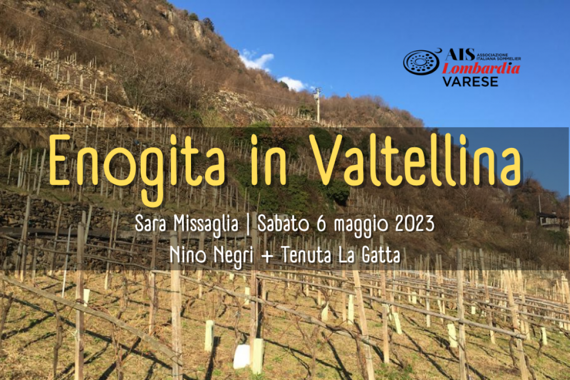 Enogita in Valtellina | Visita alle aziende Nino Negri e Tenuta La Gatta