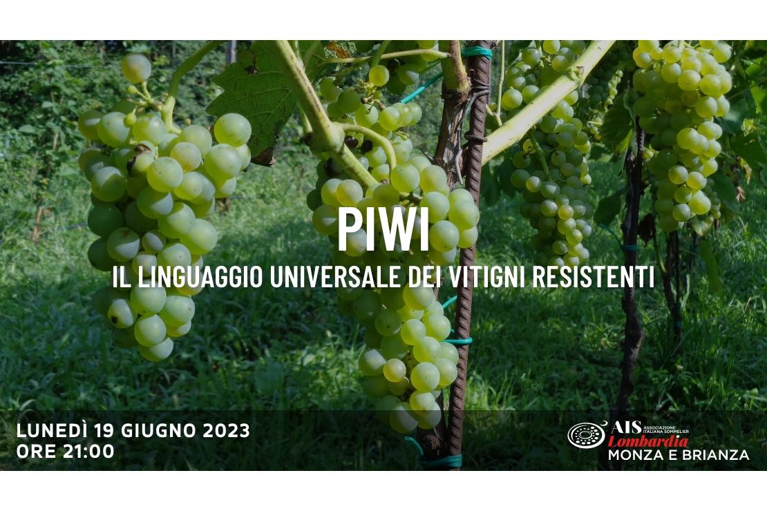Piwi: il linguaggio universale dei vitigni resistenti