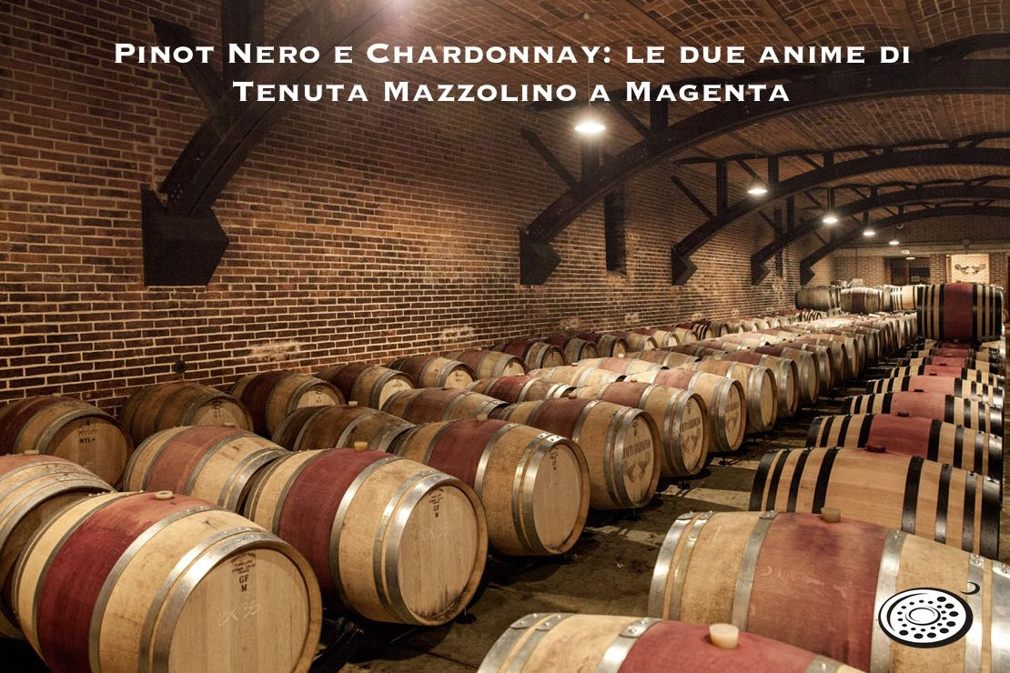 Pinot Nero e Chardonnay: le due anime della Tenuta Mazzolino a Magenta