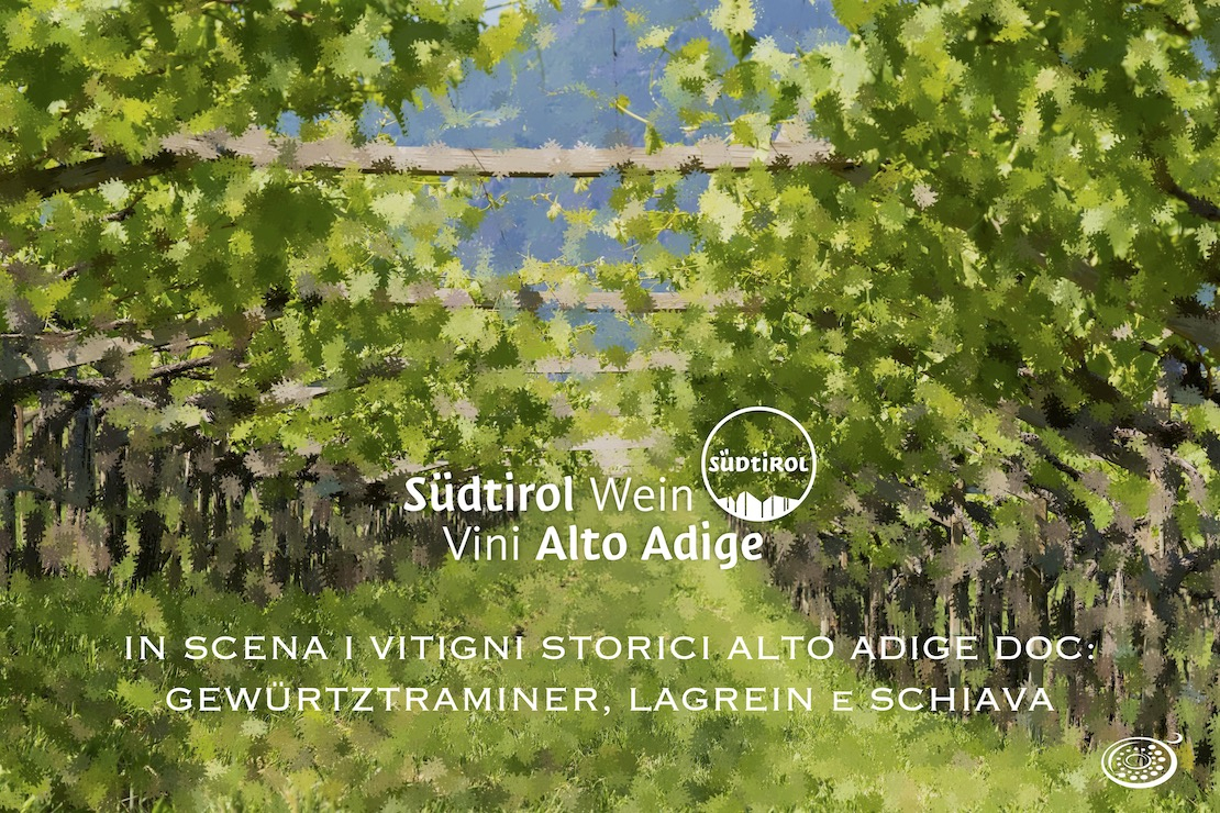 In scena i vitigni storici Alto Adige DOC: gewürztraminer, lagrein e schiava
