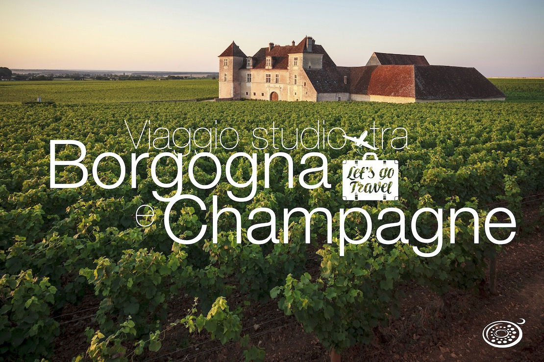 Viaggio studio tra Champagne e Borgogna