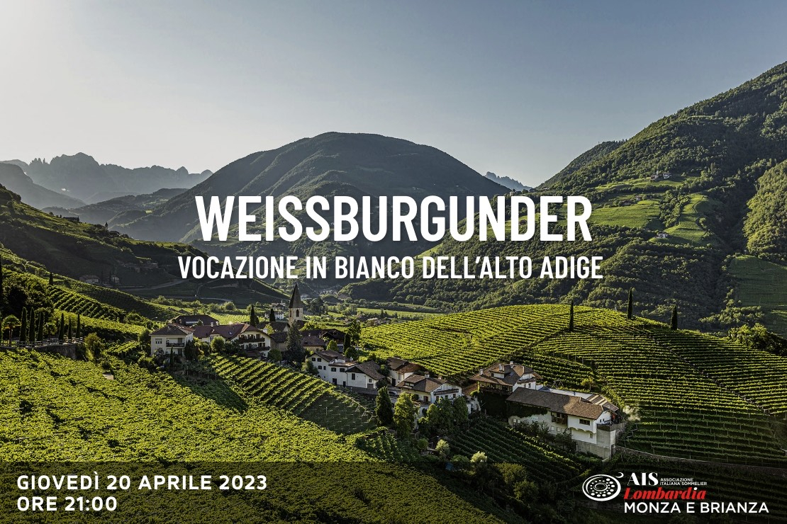 Weissburgunder, vocazione in bianco dell’Alto Adige