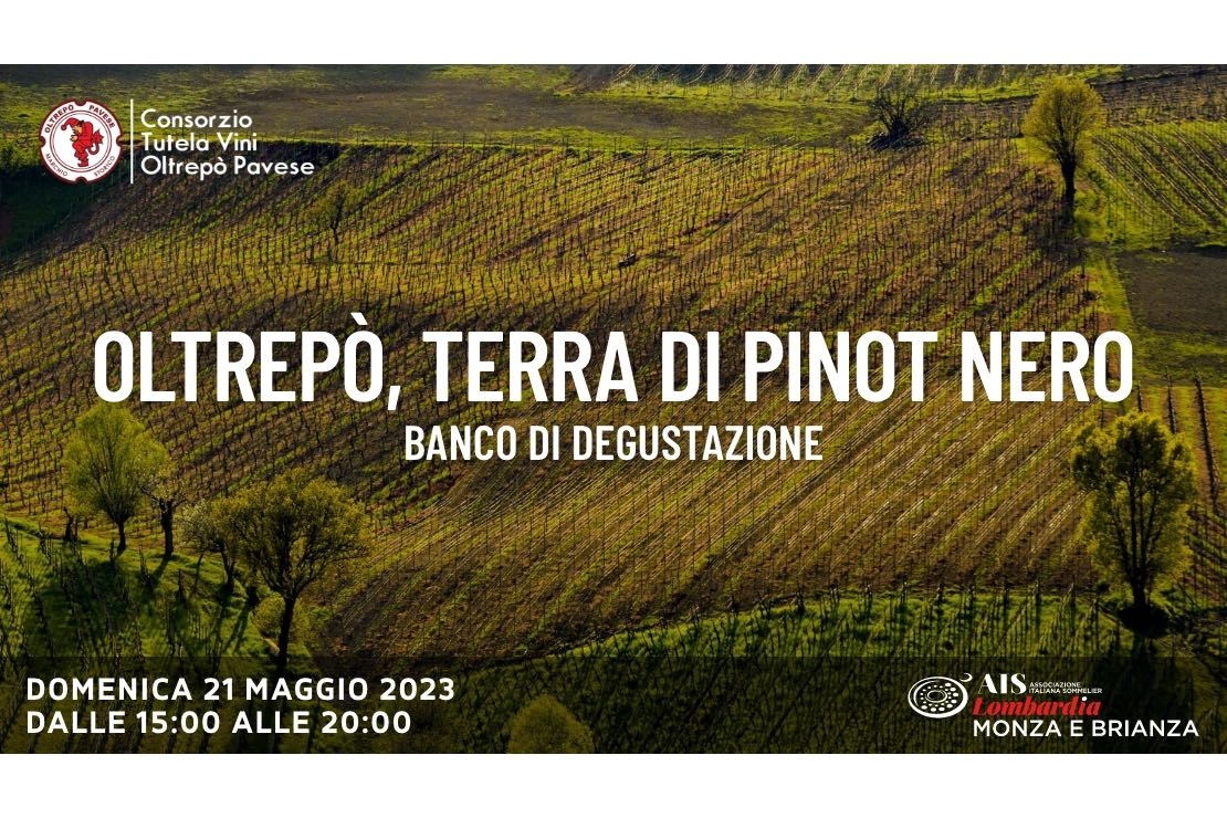 Oltrepò, terra di Pinot Nero - Banco di degustazione