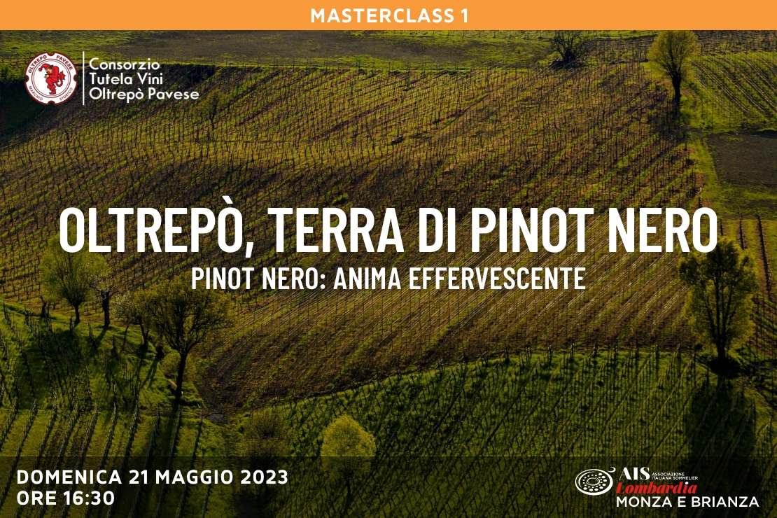 Oltrepò, terra di Pinot Nero - Masterclass | Pinot Nero: anima effervescente