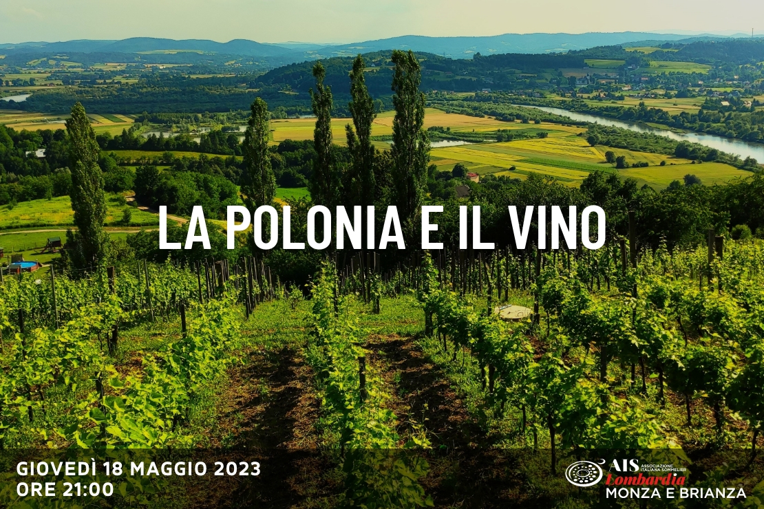 La Polonia e il vino