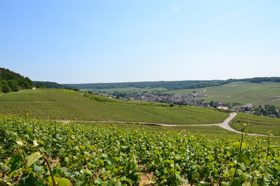 Masterclass Champagne Eric Taillet con Alberto Lupetti - Quando il pinot Meunier vola davvero alto