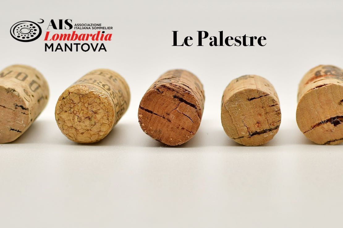 Le Palestre di AIS Mantova. 8 ottimi vini  da uve pinot nero, sangiovese, nebbiolo e altro