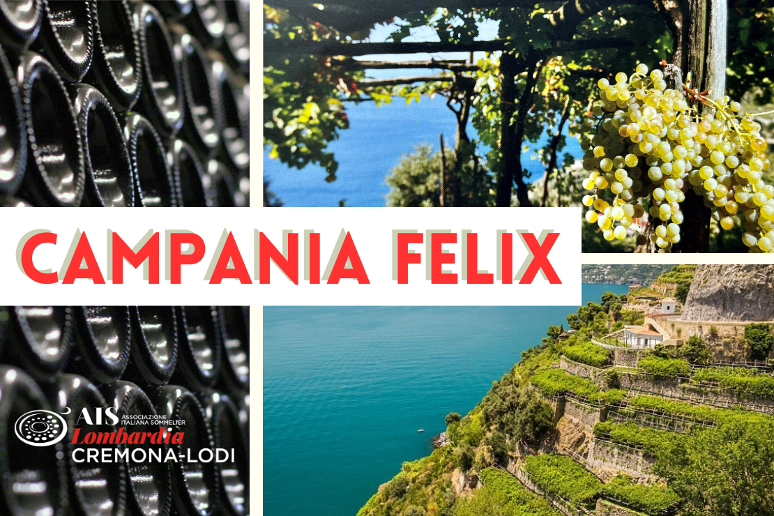 Campania Felix: alla scoperta dei vini bianchi di una terra fortunata