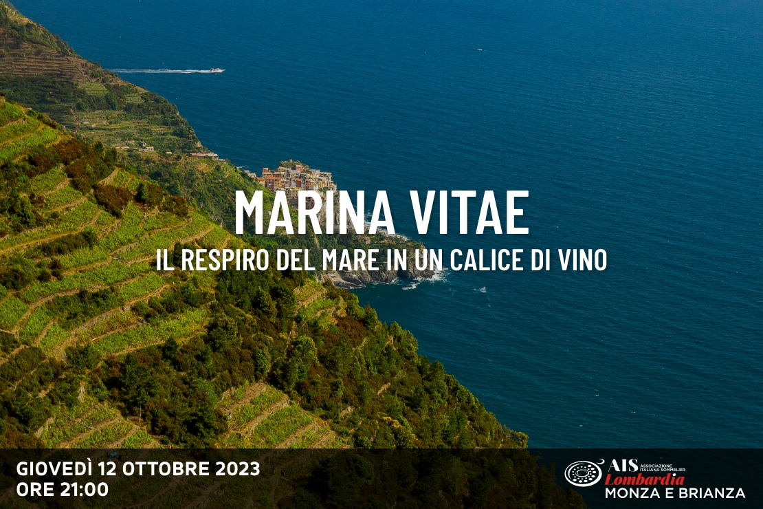 Marina Vitae: il respiro del mare in un calice di vino