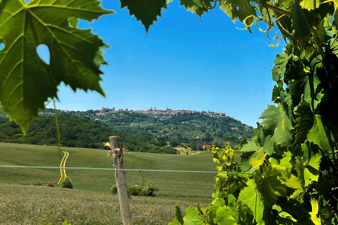 Brunello di Montalcino: la tempesta perfetta - Seminario completo