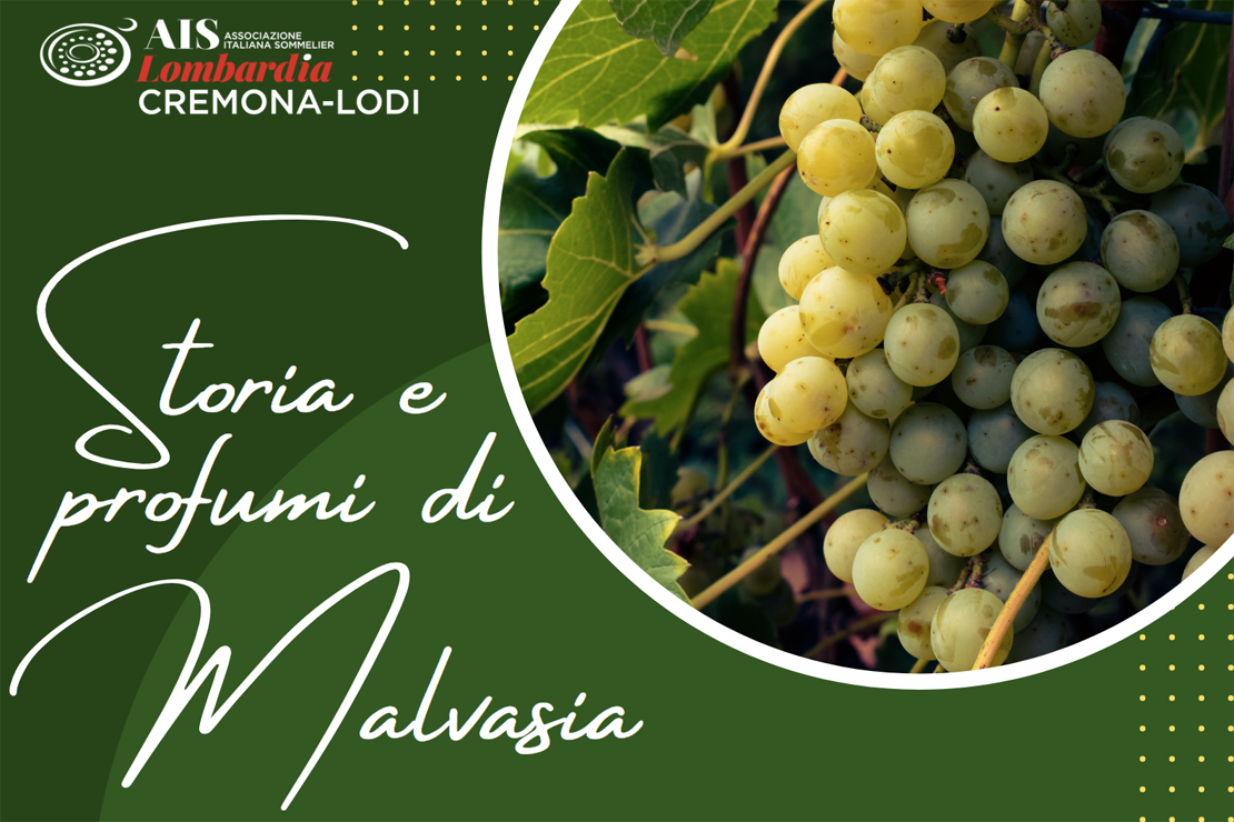 Storia e profumi di Malvasia